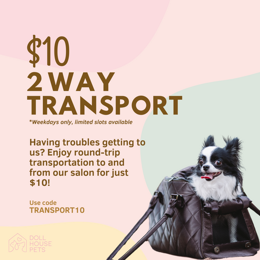 $10 2-way transportation (with Full Grooming service)