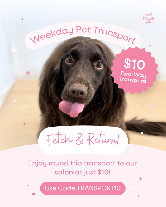 $10 2-way transportation (with Full Grooming service)
