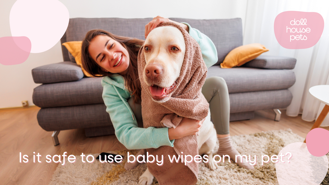 Is it safe to use baby wipes on my pet?