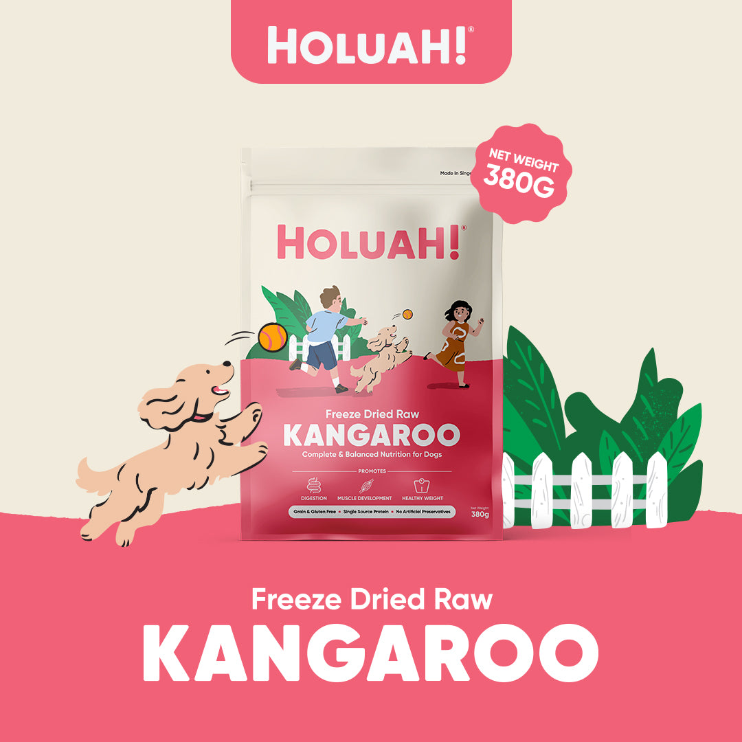 Holuah! Freeze Dried Raw Dog Food