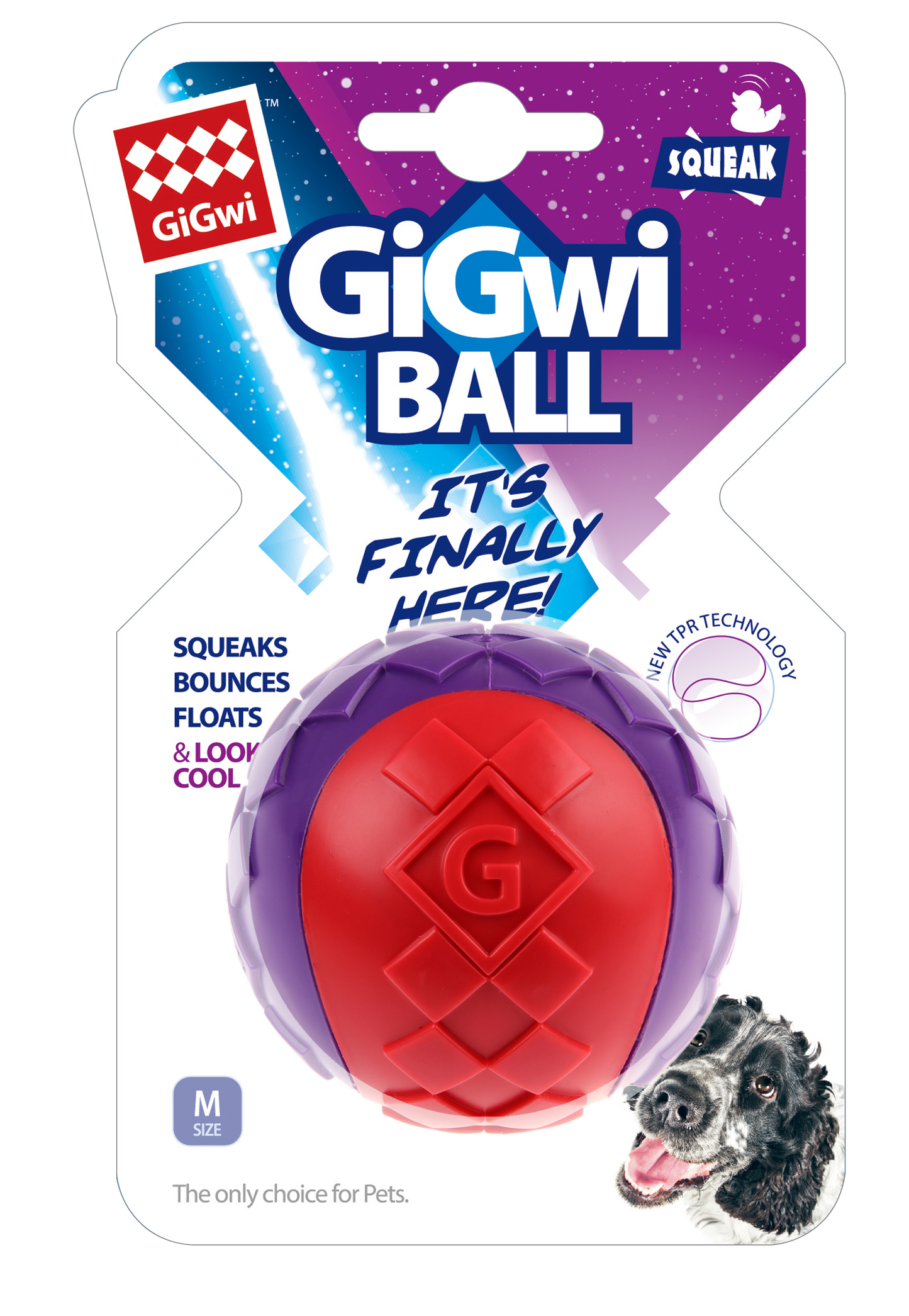 GiGwi Signature Ball Dog Toy