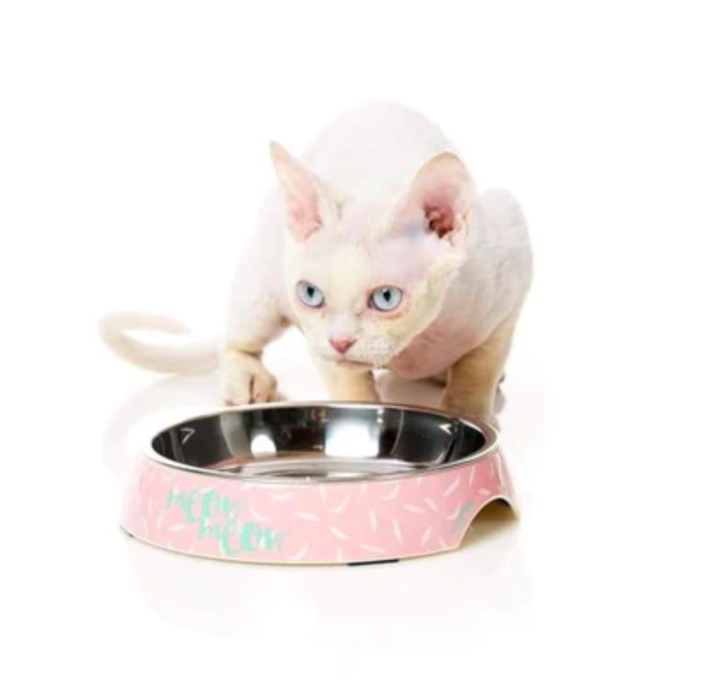 FuzzYard Melamine Cat Bowl Featherstorm – Dollhouse Pets