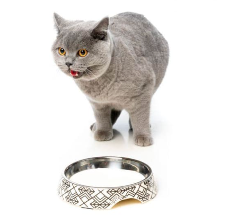FuzzYard Melamine Cat Bowl - Gatsby