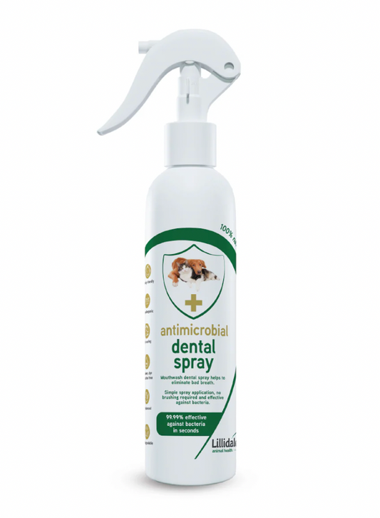 Lillidale Antimicrobial Dental Spray