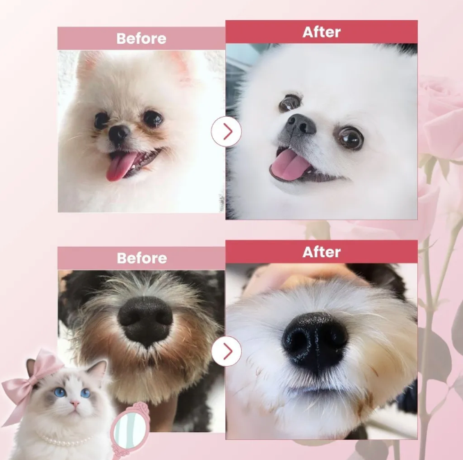For Furry Friends P.A.W.S Pet Facial Wipes 80 sheets