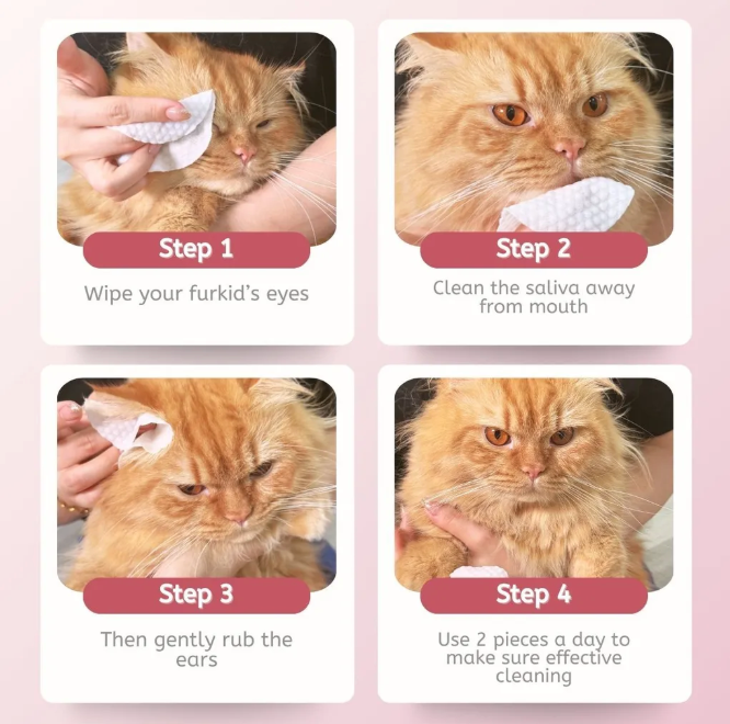 For Furry Friends P.A.W.S Pet Facial Wipes 80 sheets