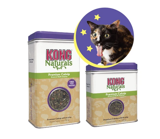 Kong Naturals Premium Catnip