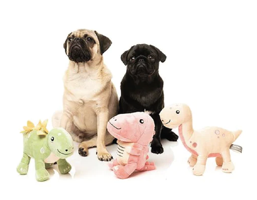 Fuzzyard Plush Dog Toy - Dinos