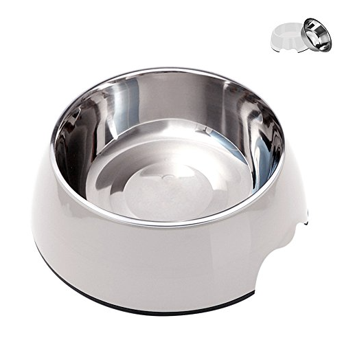 2-IN-1 Pet Food Dish with Removable Stainless Steel Bowl