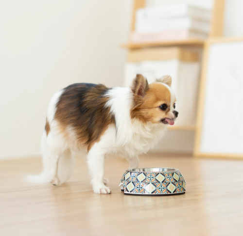 Ohpopdog Non-slip Bowl -  Bunga Peach
