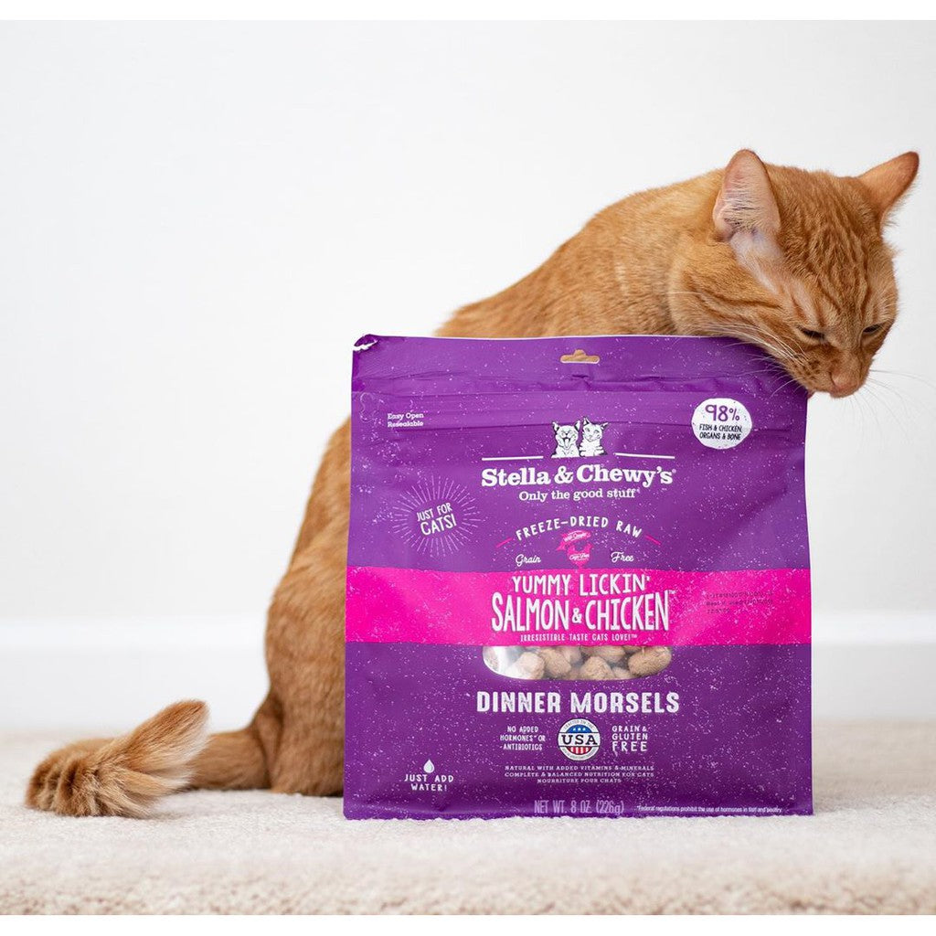 Stella & Chewy's - Cat Freeze Dried Raw Dinner Morsels 18oz